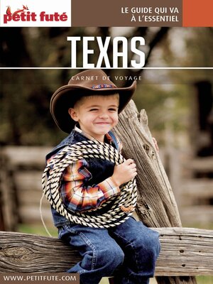 cover image of TEXAS 2017 Carnet Petit Futé